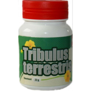 tribulus-terrestris