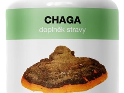 reishi-5781-5781.jpg