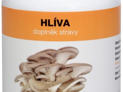 rejstrik-pojmu-6574.jpg